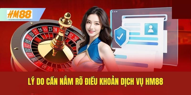 Lý do cần nắm rõ điều khoản dịch vụ tại HM88