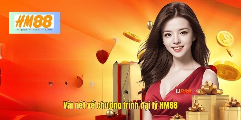Vài nét về chương trình đại lý HM88